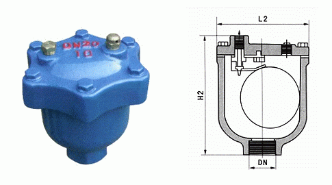 日本欧美久久久久免费播放网