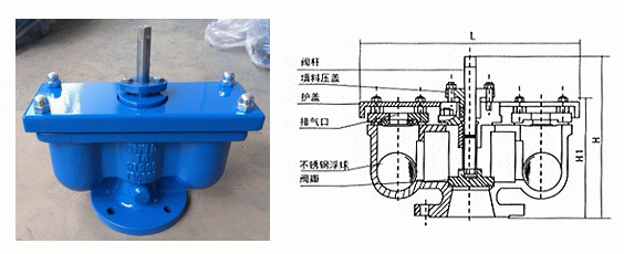 日本欧美久久久久免费播放网
