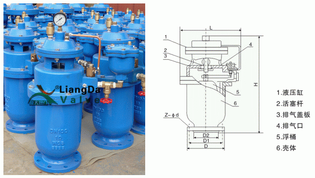 日本欧美久久久久免费播放网