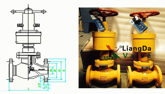 日本欧美久久久久免费播放网