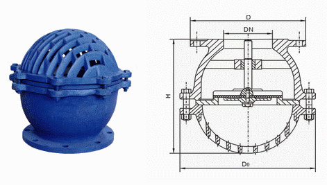 日本欧美久久久久免费播放网