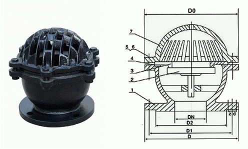 日本欧美久久久久免费播放网