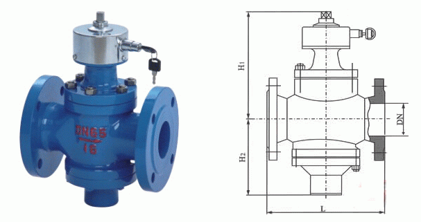 日本欧美久久久久免费播放网