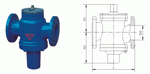 日本欧美久久久久免费播放网