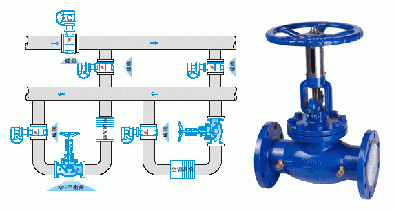 日本欧美久久久久免费播放网