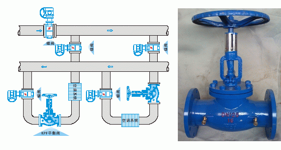 日本欧美久久久久免费播放网
