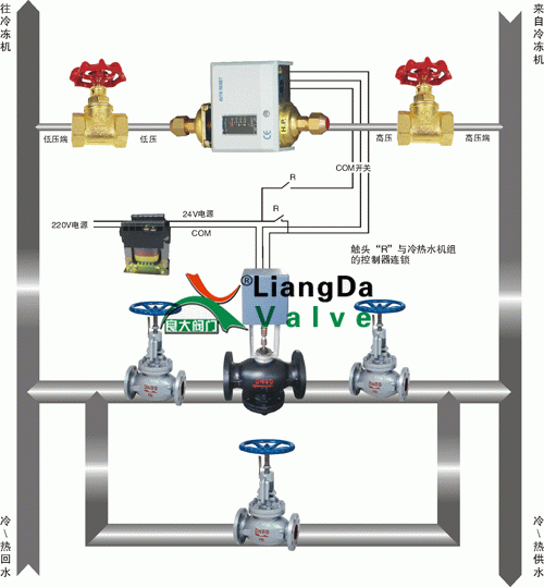 日本欧美久久久久免费播放网