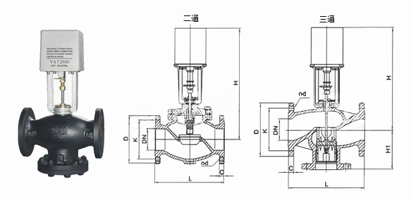 日本欧美久久久久免费播放网