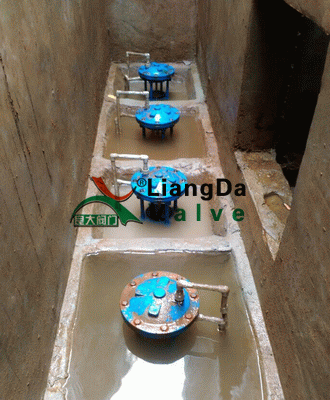 日本欧美久久久久免费播放网