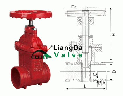 日本欧美久久久久免费播放网