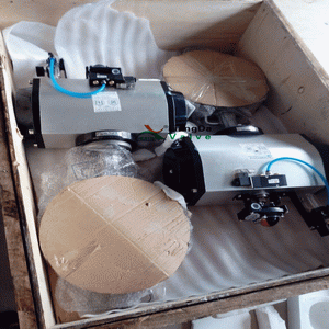 日本欧美久久久久免费播放网