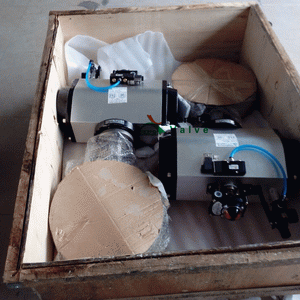 日本欧美久久久久免费播放网