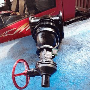 日本欧美久久久久免费播放网