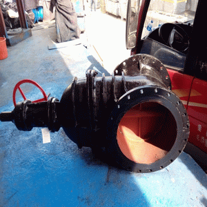 日本欧美久久久久免费播放网