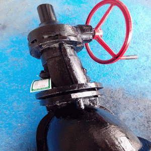 日本欧美久久久久免费播放网