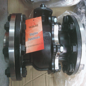 日本欧美久久久久免费播放网