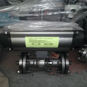 日本欧美久久久久免费播放网