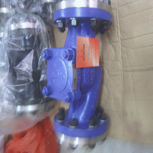 日本欧美久久久久免费播放网