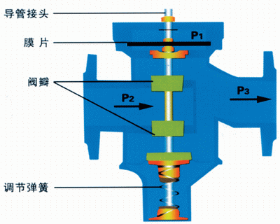 日本欧美久久久久免费播放网