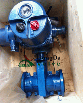 日本欧美久久久久免费播放网