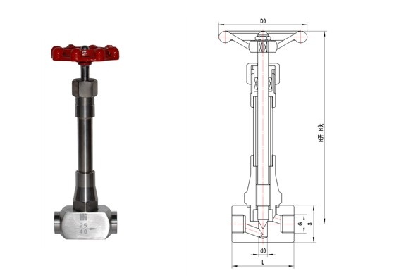 日本欧美久久久久免费播放网