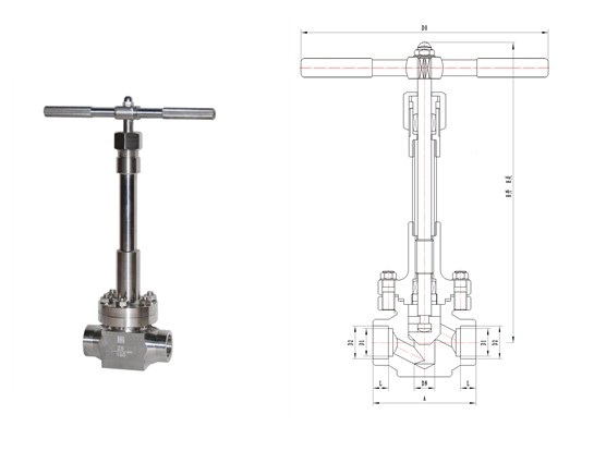 日本欧美久久久久免费播放网