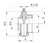 日本欧美久久久久免费播放网