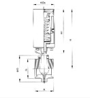 日本欧美久久久久免费播放网