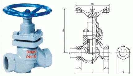 日本欧美久久久久免费播放网