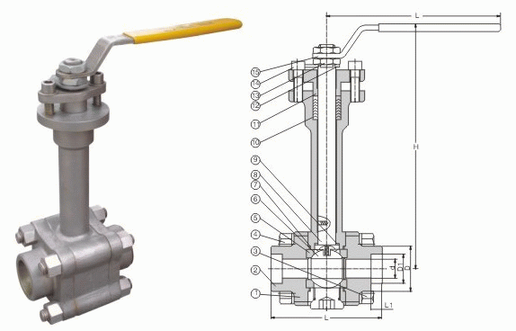日本欧美久久久久免费播放网