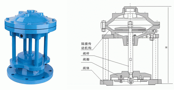 日本欧美久久久久免费播放网