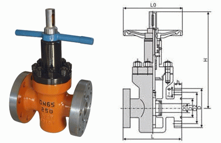 日本欧美久久久久免费播放网
