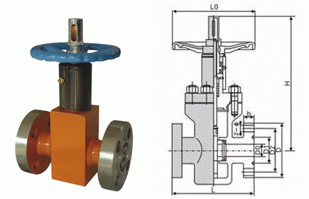 日本欧美久久久久免费播放网
