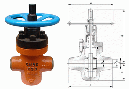日本欧美久久久久免费播放网