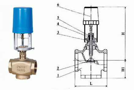 日本欧美久久久久免费播放网