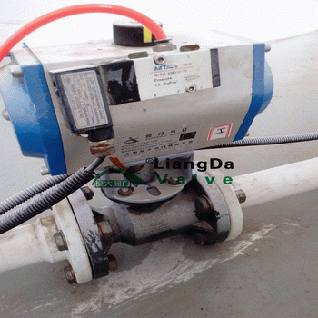 日本欧美久久久久免费播放网