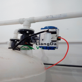 日本欧美久久久久免费播放网