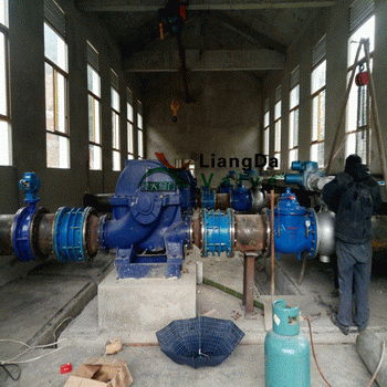 日本欧美久久久久免费播放网