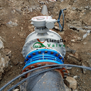 日本欧美久久久久免费播放网