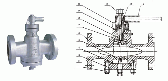 日本欧美久久久久免费播放网