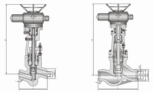 日本欧美久久久久免费播放网