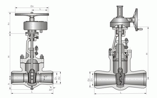 日本欧美久久久久免费播放网