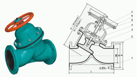 日本欧美久久久久免费播放网