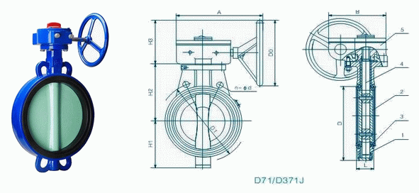 日本欧美久久久久免费播放网