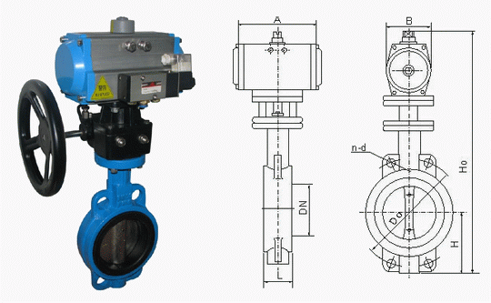 日本欧美久久久久免费播放网