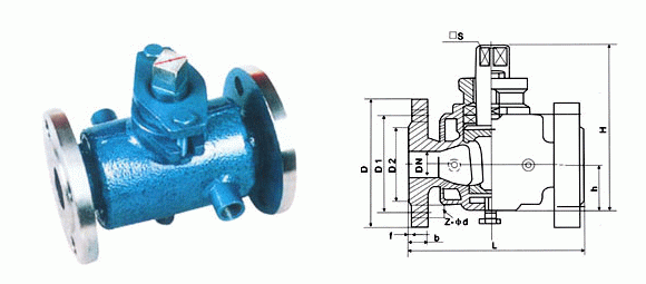 日本欧美久久久久免费播放网