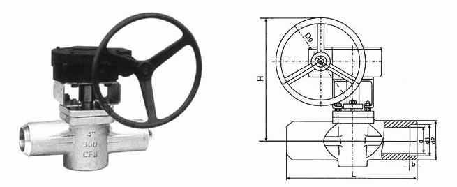 日本欧美久久久久免费播放网