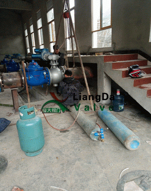 日本欧美久久久久免费播放网