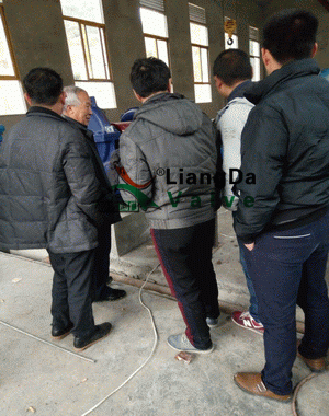 日本欧美久久久久免费播放网