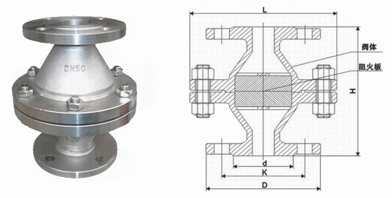日本欧美久久久久免费播放网